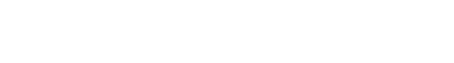 Wevelectric